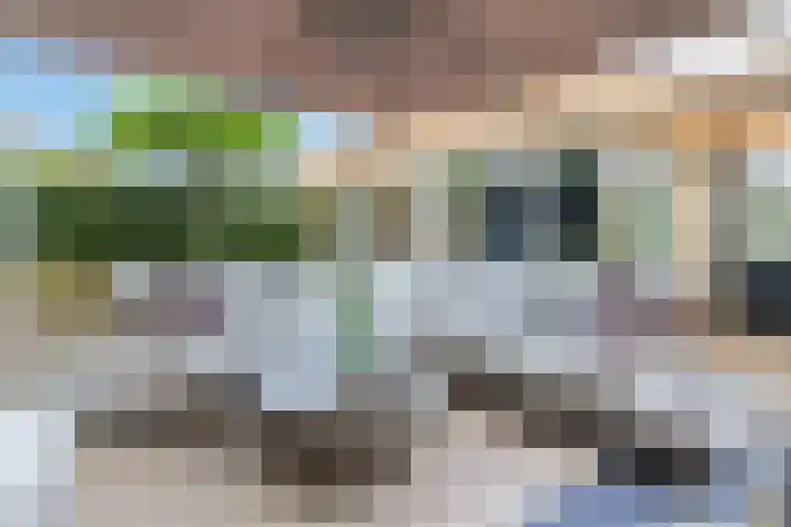 Koperwiek 1 Raalte thumbnail 39