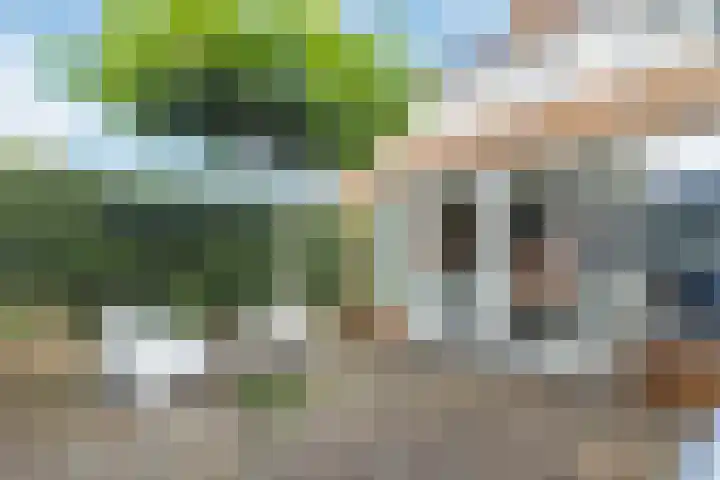 Koperwiek 1 Raalte thumbnail 40