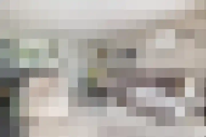 Koperwiek 1 Raalte thumbnail 7