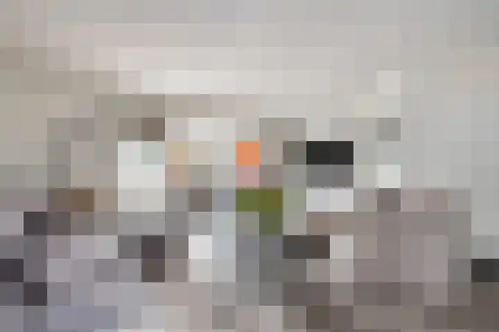 Koperwiek 1 Raalte thumbnail 9