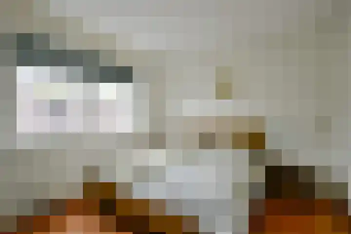 Koperwiek 12 Nieuwe Niedorp thumbnail 12