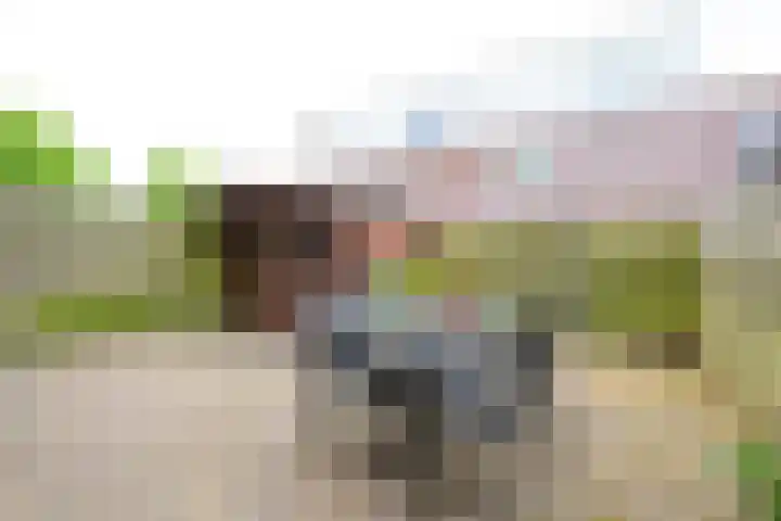 Koperwiek 12 Nieuwe Niedorp thumbnail 26
