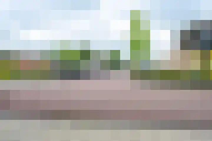 Koperwiek 12 Nieuwe Niedorp thumbnail 27