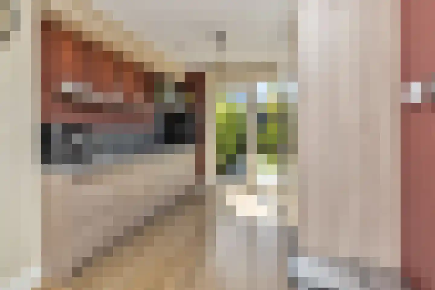 Koperwiek 13 Nieuwe Niedorp thumbnail 12