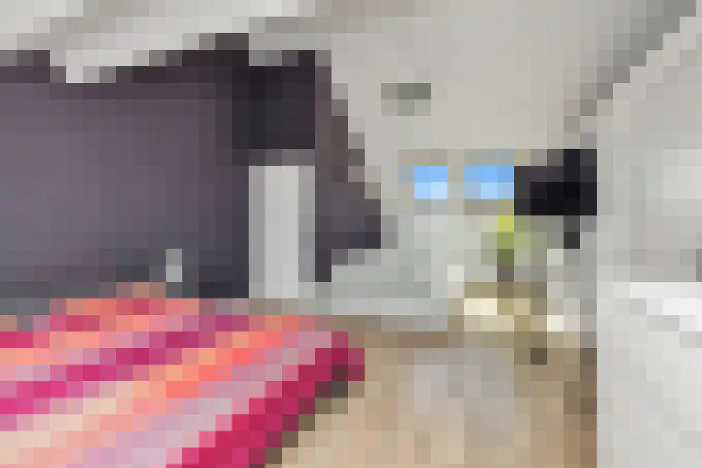 Koperwiek 13 Nieuwe Niedorp thumbnail 26