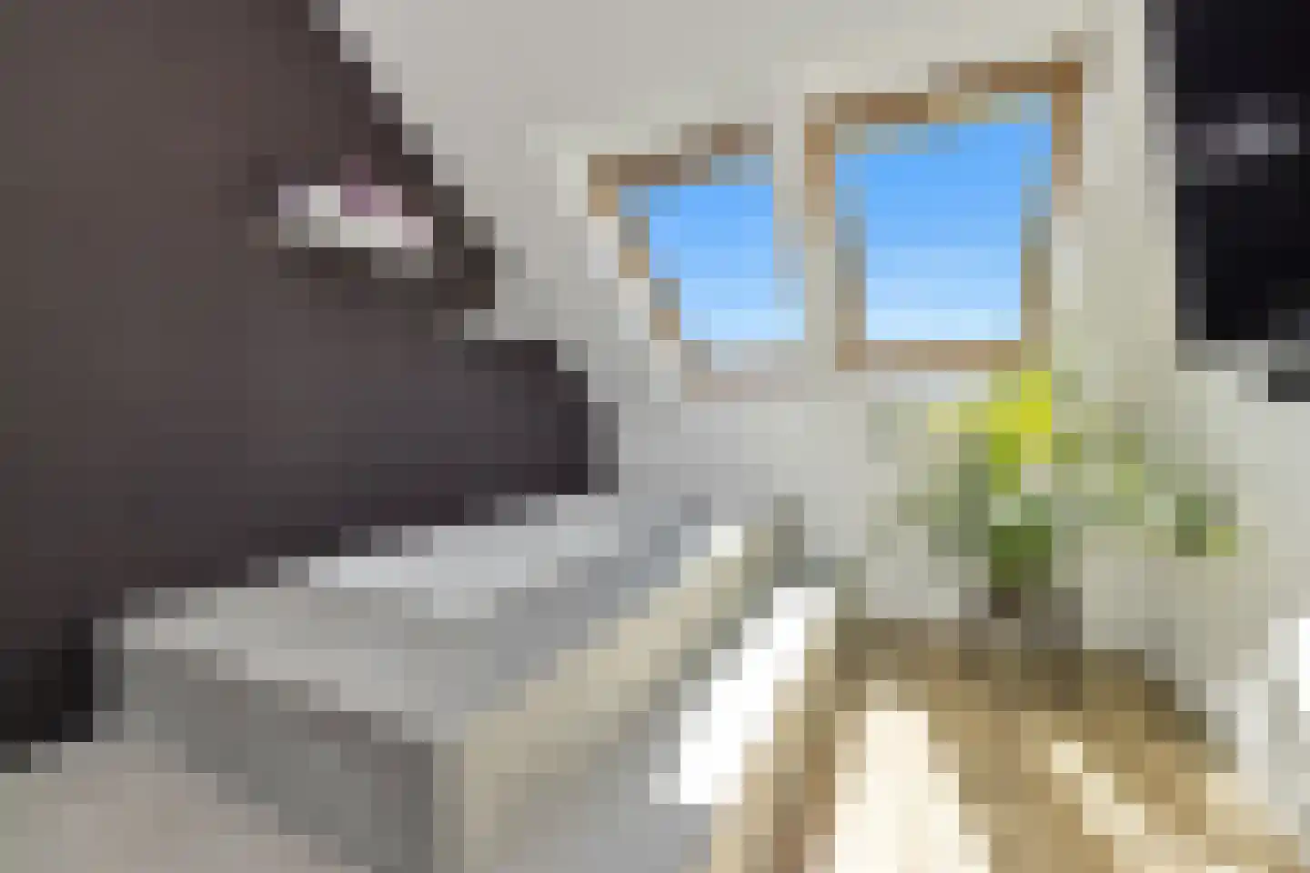 Koperwiek 13 Nieuwe Niedorp thumbnail 28