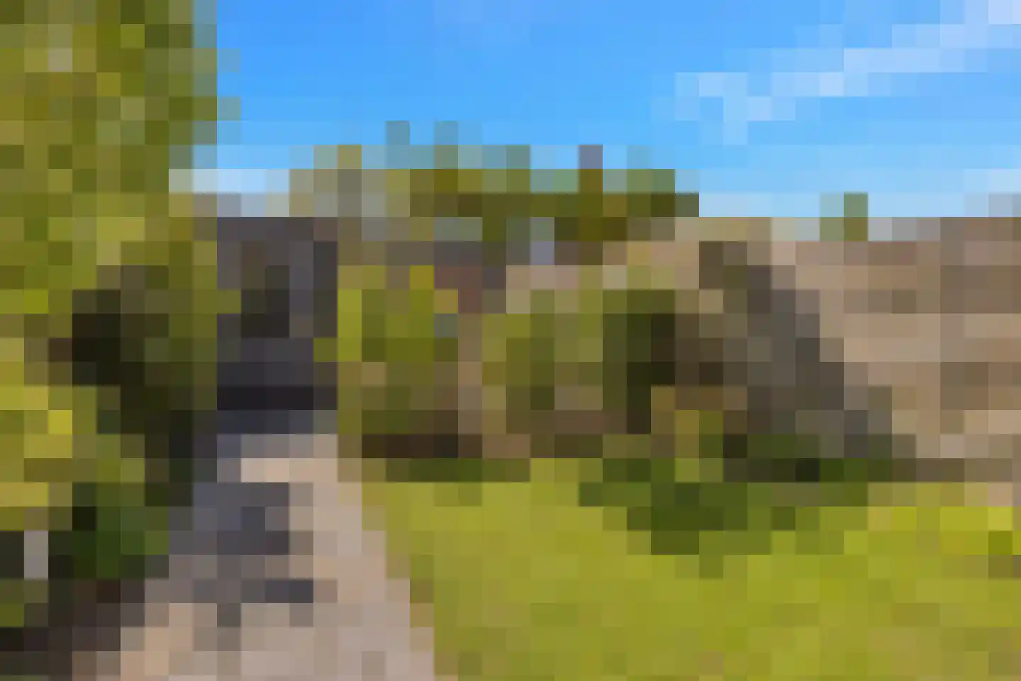 Koperwiek 13 Nieuwe Niedorp thumbnail 32