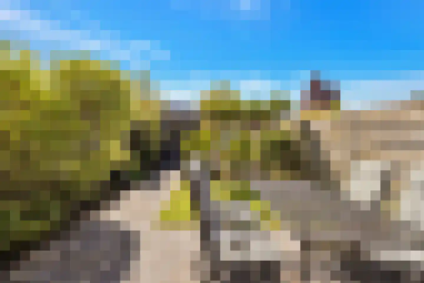 Koperwiek 13 Nieuwe Niedorp thumbnail 33