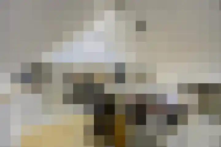 Koperwiek 16 Etten-Leur thumbnail 30