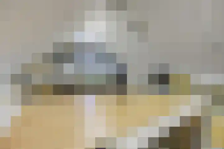 Koperwiek 16 Etten-Leur thumbnail 31