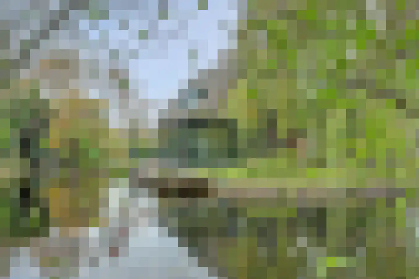 Koperwiek 17 Zuid-Scharwoude thumbnail 43