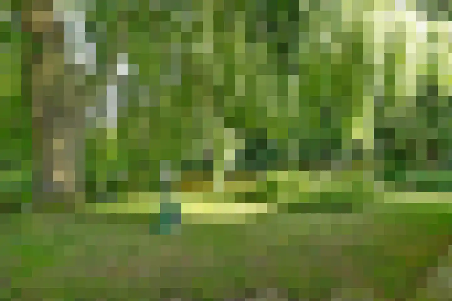 Koperwiek 17 Zuid-Scharwoude thumbnail 48