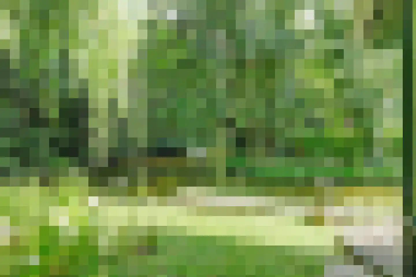 Koperwiek 17 Zuid-Scharwoude thumbnail 51