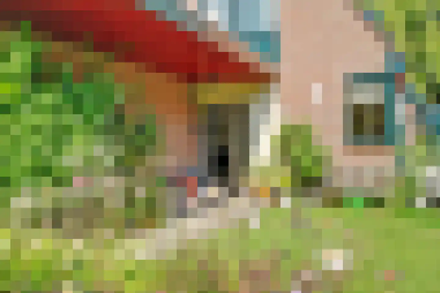 Koperwiek 17 Zuid-Scharwoude thumbnail 7