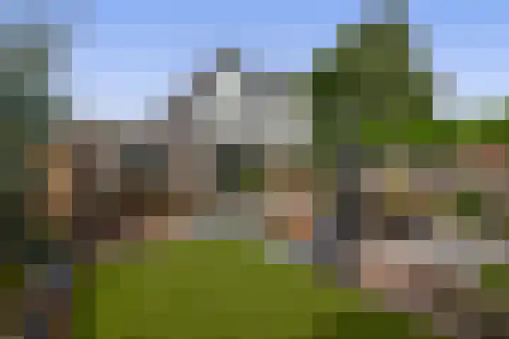 Koperwiek 18 Waspik thumbnail 25