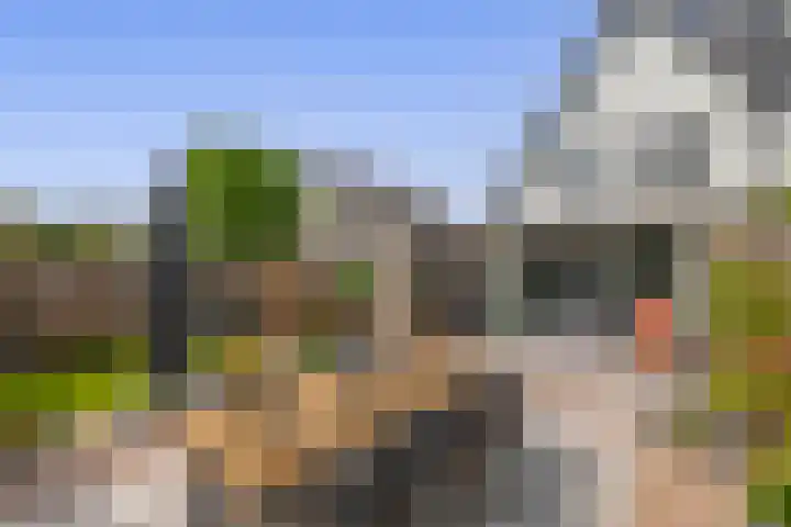 Koperwiek 18 Waspik thumbnail 47