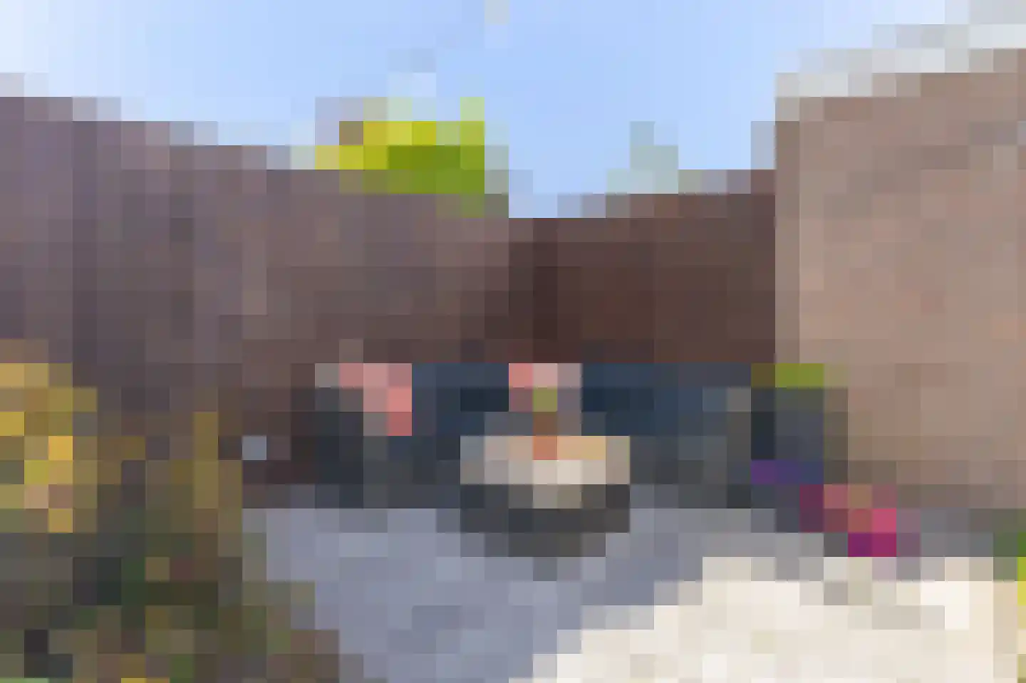 Koperwiek 19 Venhuizen thumbnail 23