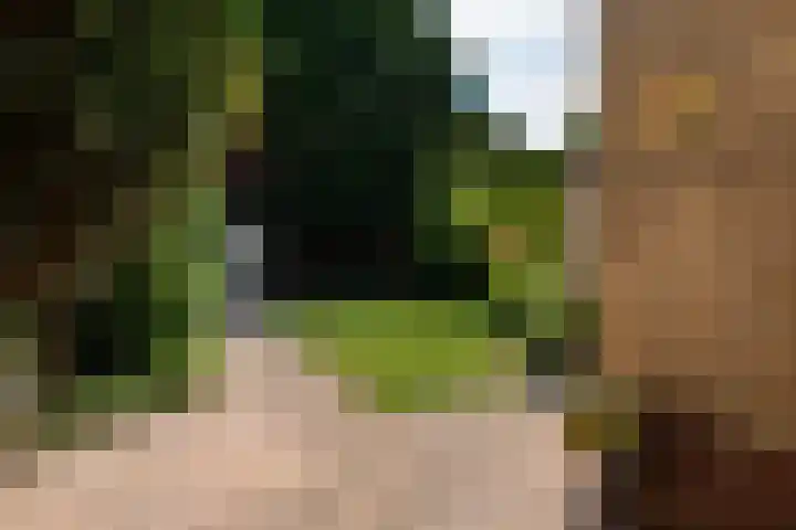 Koperwiek 2 B Soest thumbnail 14