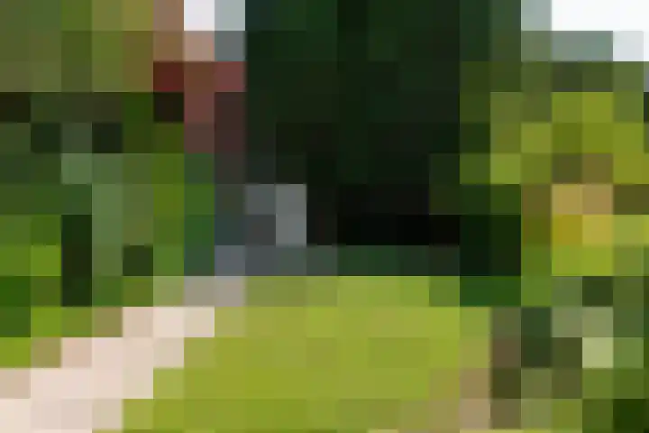 Koperwiek 2 B Soest thumbnail 15