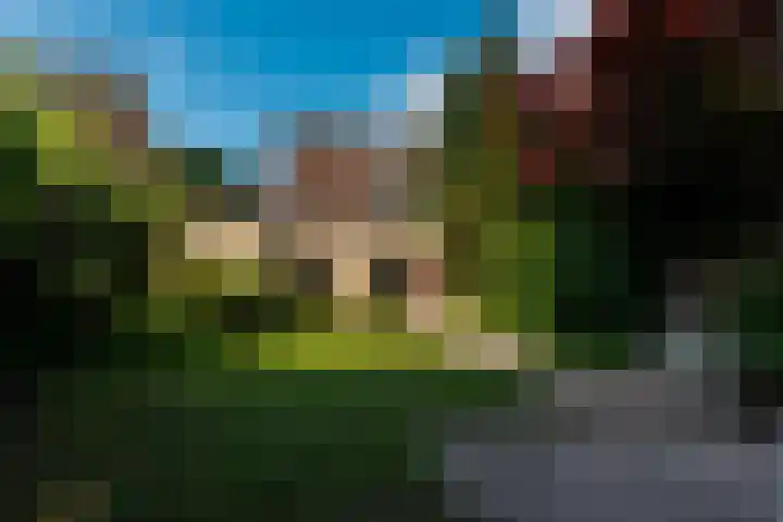 Koperwiek 2 B Soest thumbnail 16