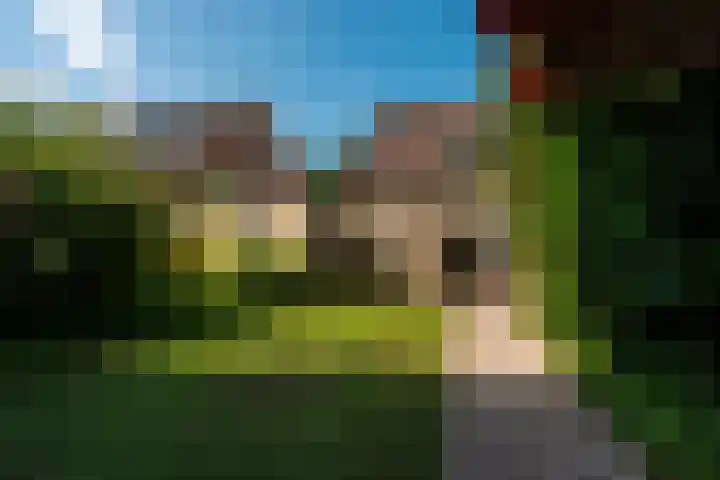 Koperwiek 2 B Soest thumbnail 17