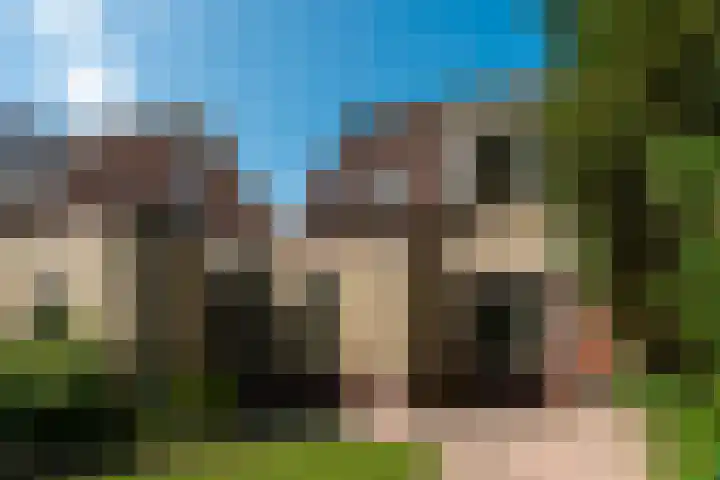 Koperwiek 2 B Soest thumbnail 18