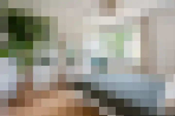Koperwiek 2 B Soest thumbnail 21