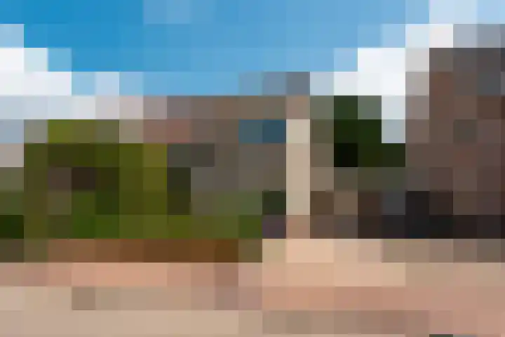 Koperwiek 2 B Soest thumbnail 34
