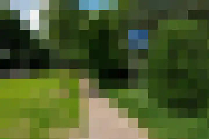 Koperwiek 2 B Soest thumbnail 38