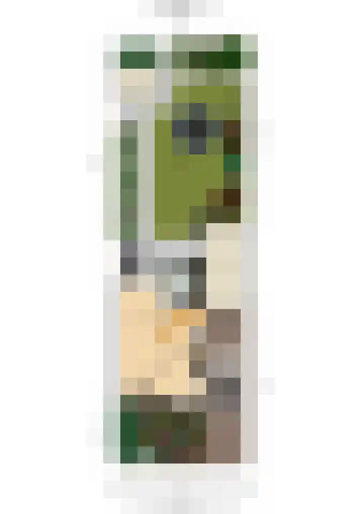 Koperwiek 2 B Soest thumbnail 40
