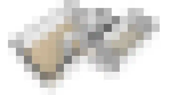 Koperwiek 2 B Soest thumbnail 48