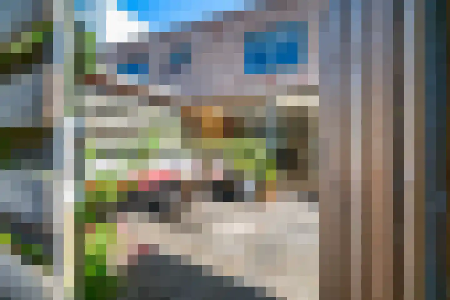 Koperwiek 22 Nieuwe Niedorp thumbnail 18