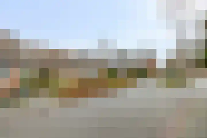 Koperwiek 23 Deventer thumbnail 24