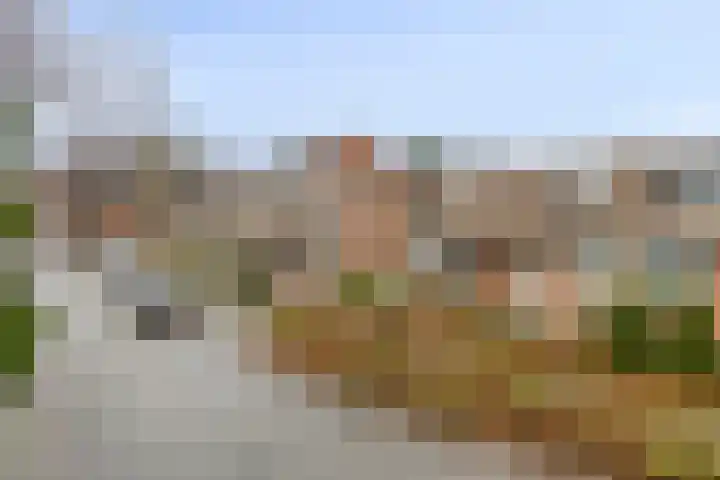 Koperwiek 23 Deventer thumbnail 26
