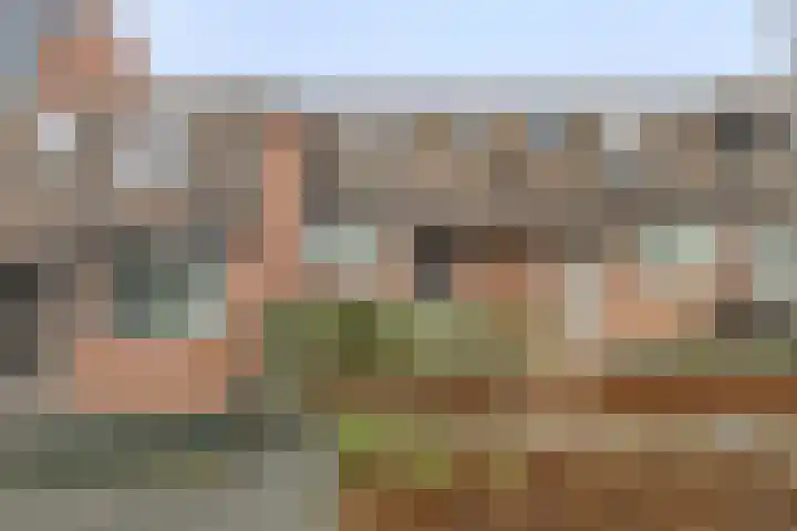 Koperwiek 23 Deventer thumbnail 27