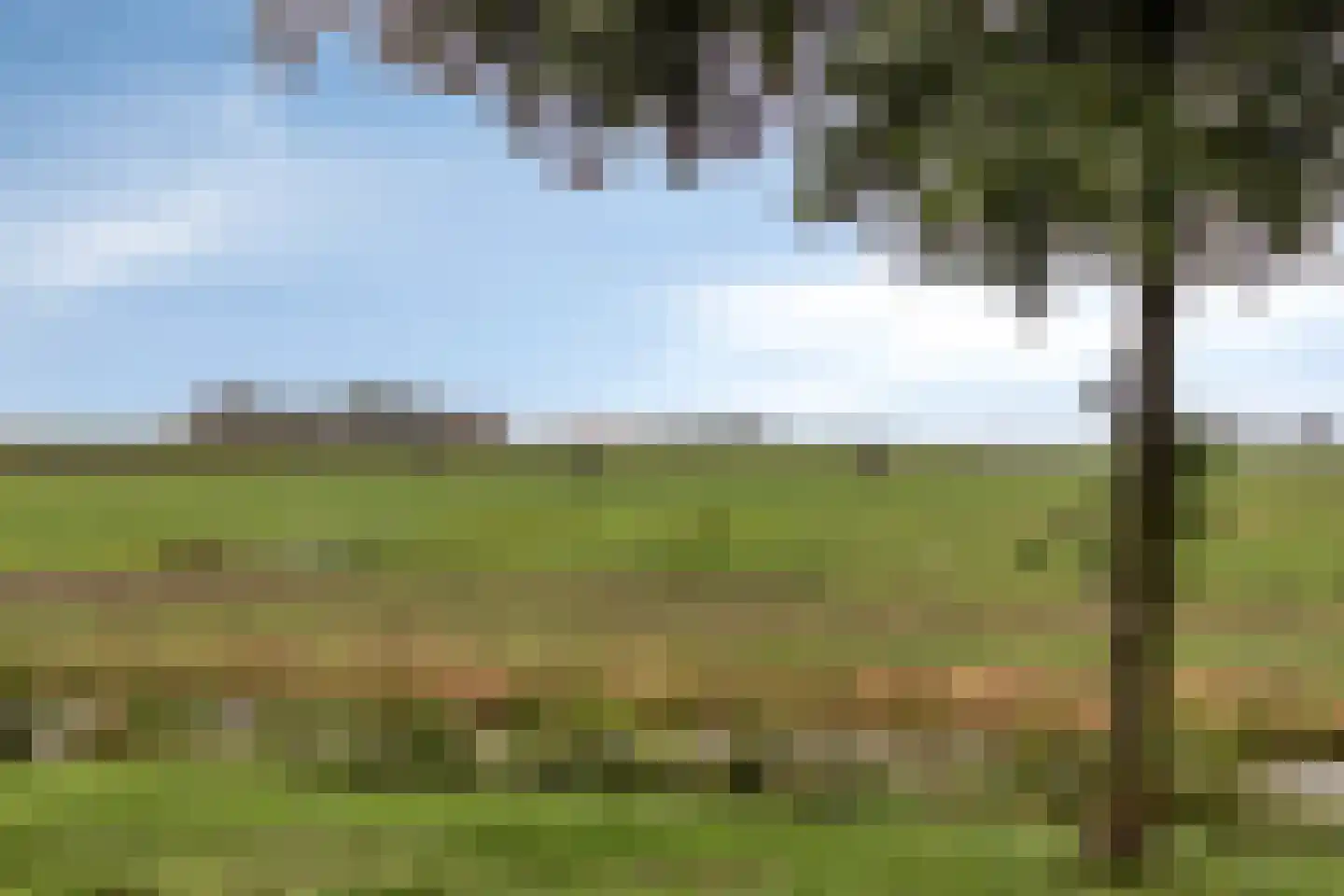 Koperwiek 3 Bunschoten-Spakenburg thumbnail 41