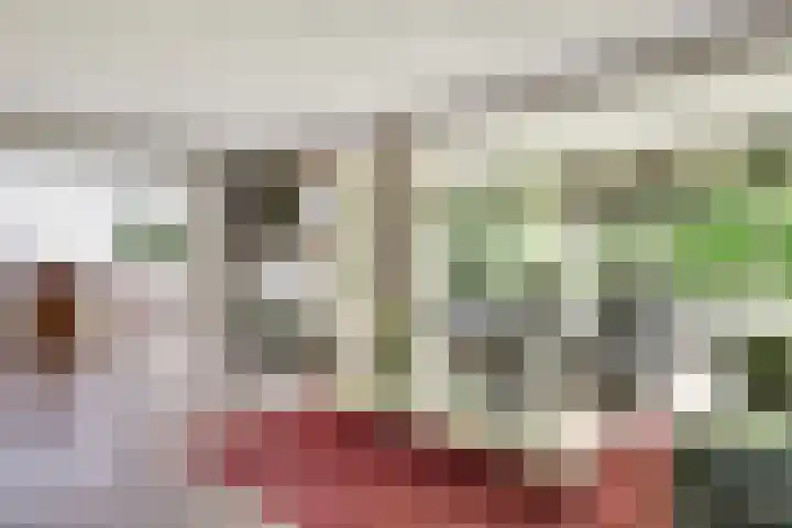 Koperwiek 3 Zuid-Scharwoude thumbnail 11