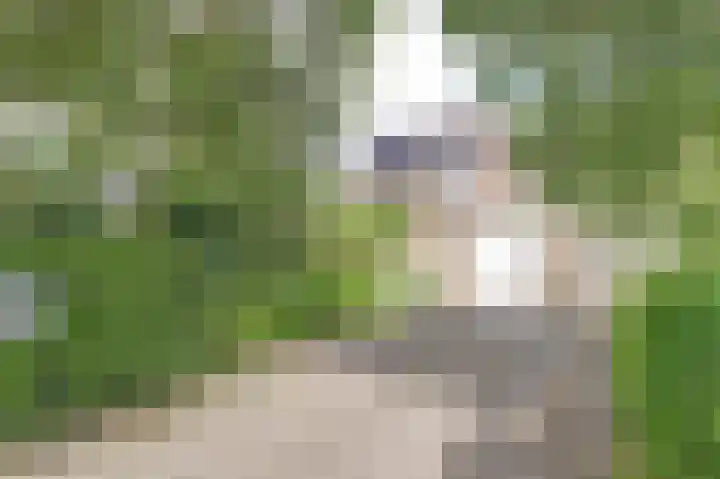 Koperwiek 3 Zuid-Scharwoude thumbnail 4