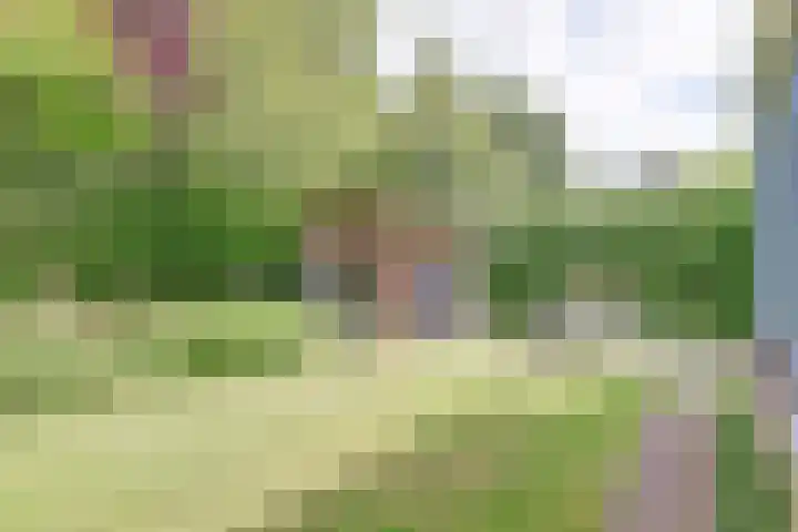 Koperwiek 3 Zuid-Scharwoude thumbnail 43