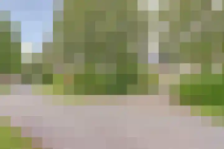 Koperwiek 3 Zuid-Scharwoude thumbnail 64