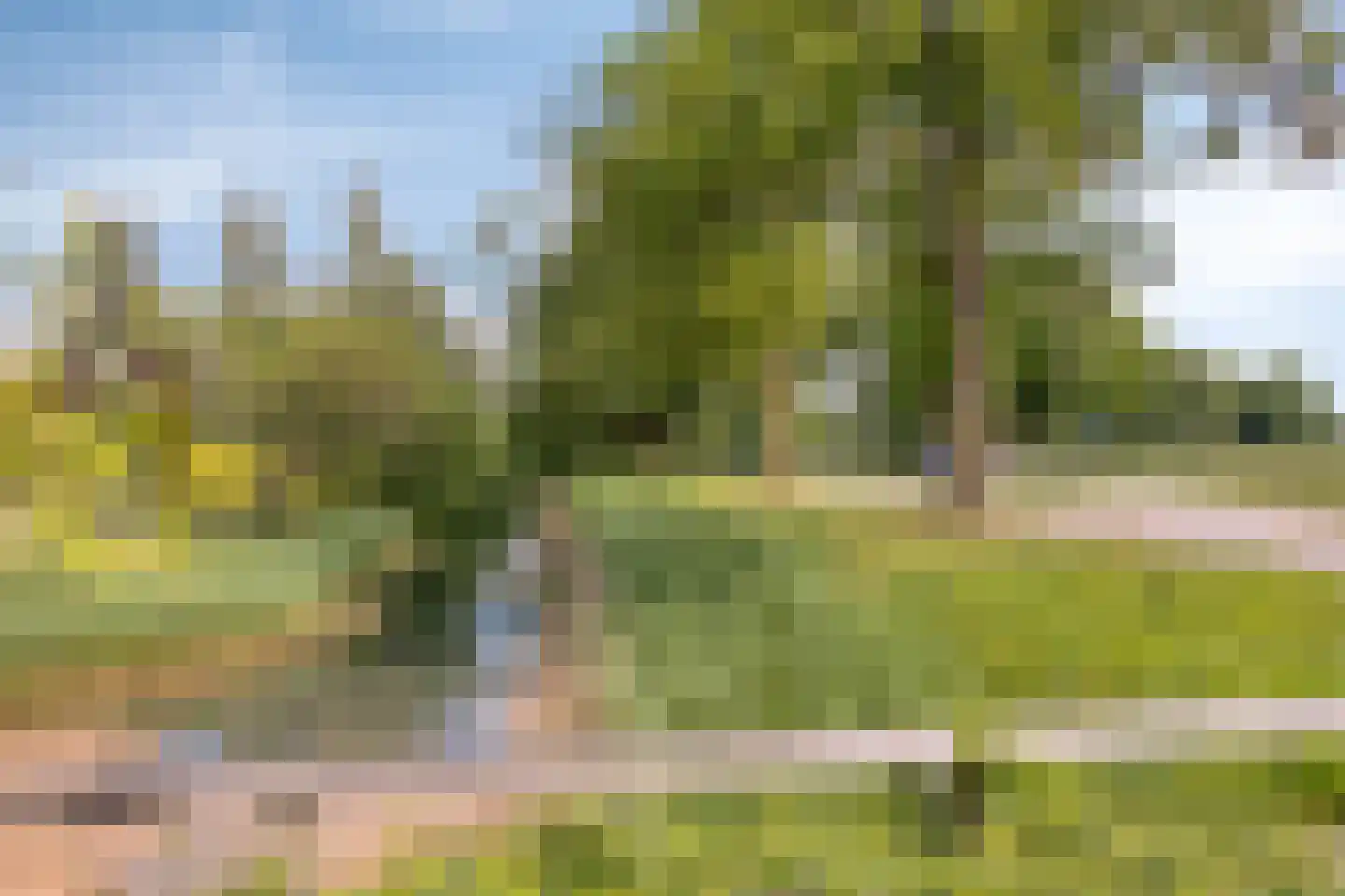 Koperwiek 35 Deventer thumbnail 32