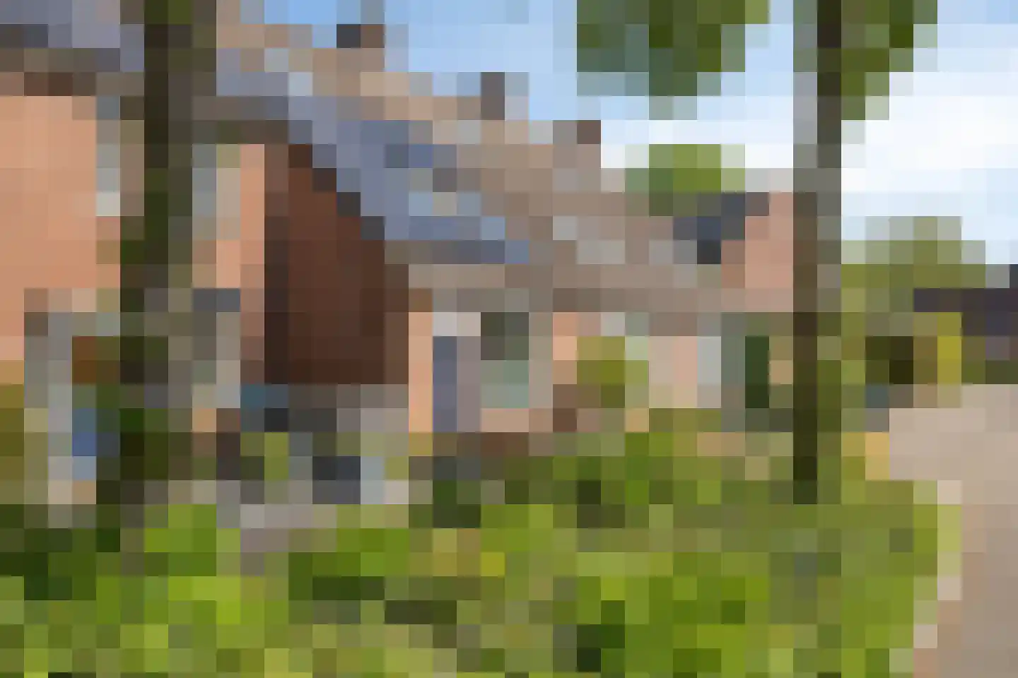 Koperwiek 35 Deventer thumbnail 33