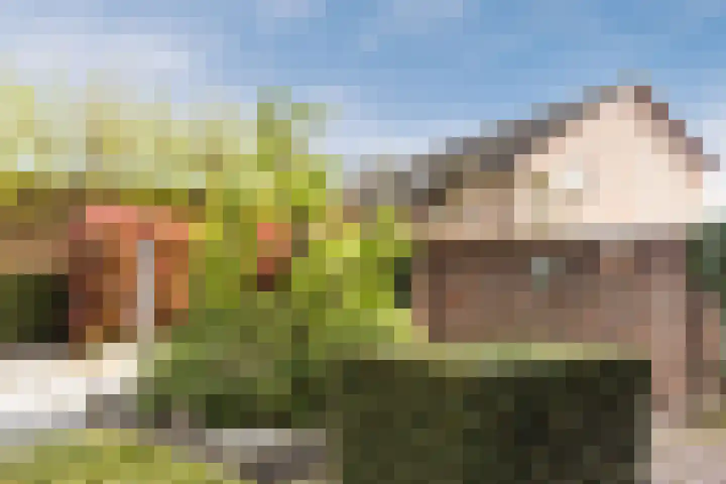 Koperwiek 37 Waspik thumbnail 41