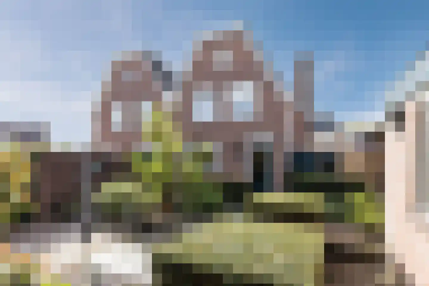 Koperwiek 37 Waspik thumbnail 42