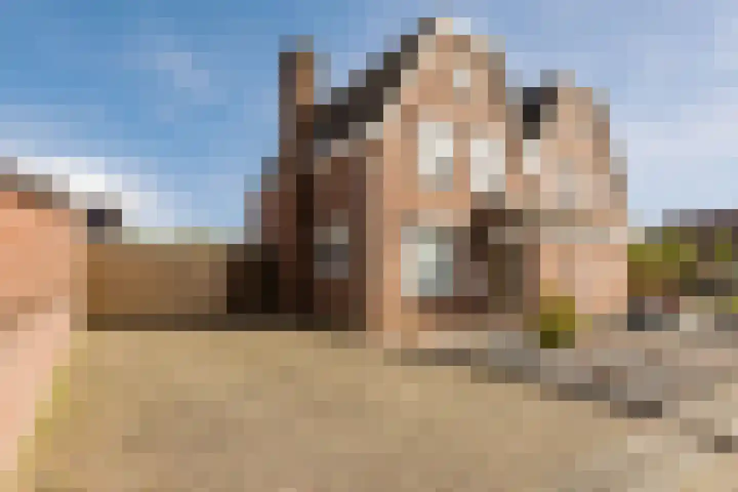 Koperwiek 37 Waspik thumbnail 5