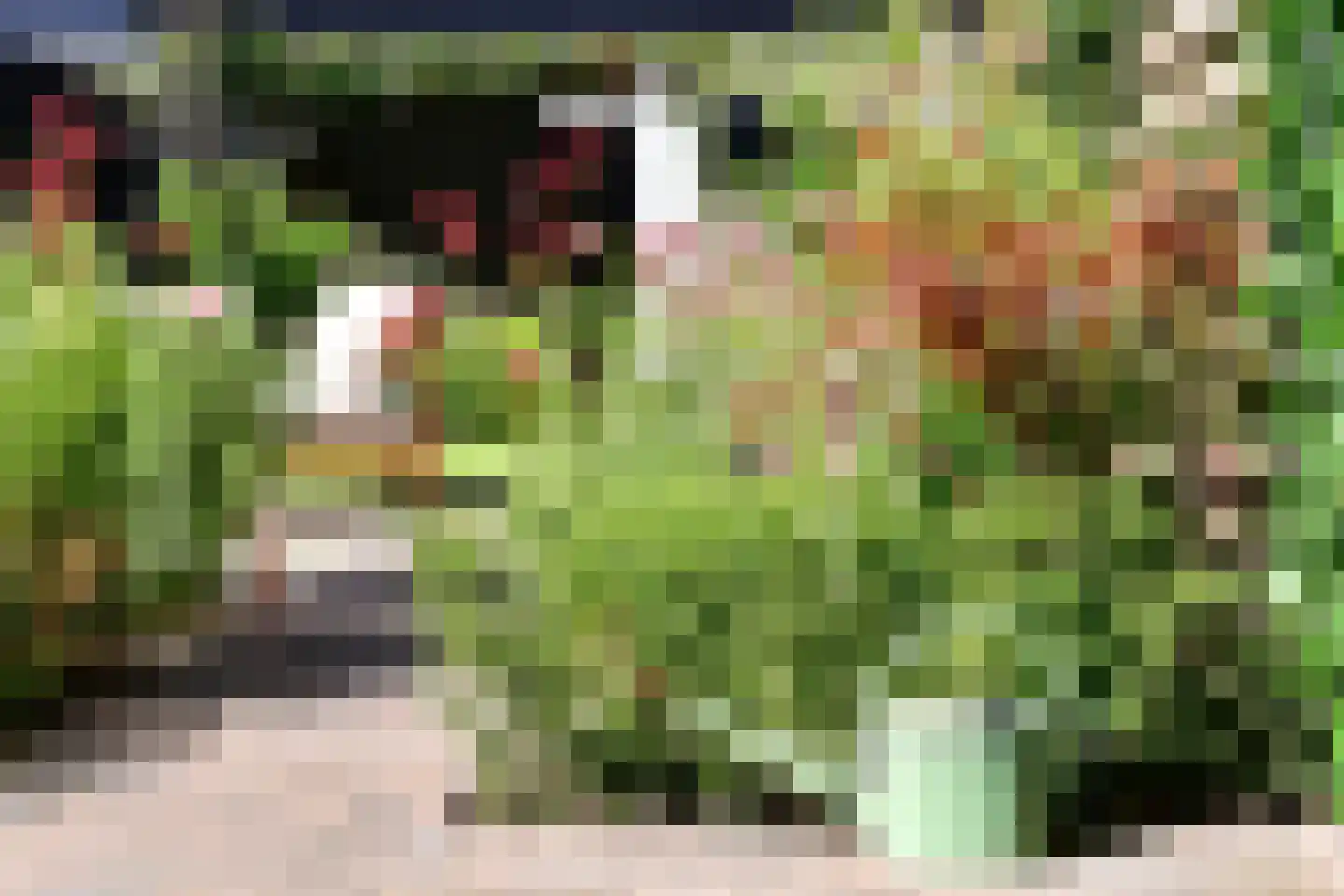 Koperwiek 4 Ermelo thumbnail 37