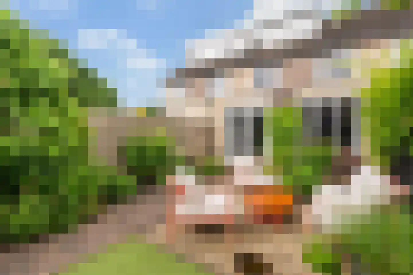 Koperwiek 4 Ermelo thumbnail 4