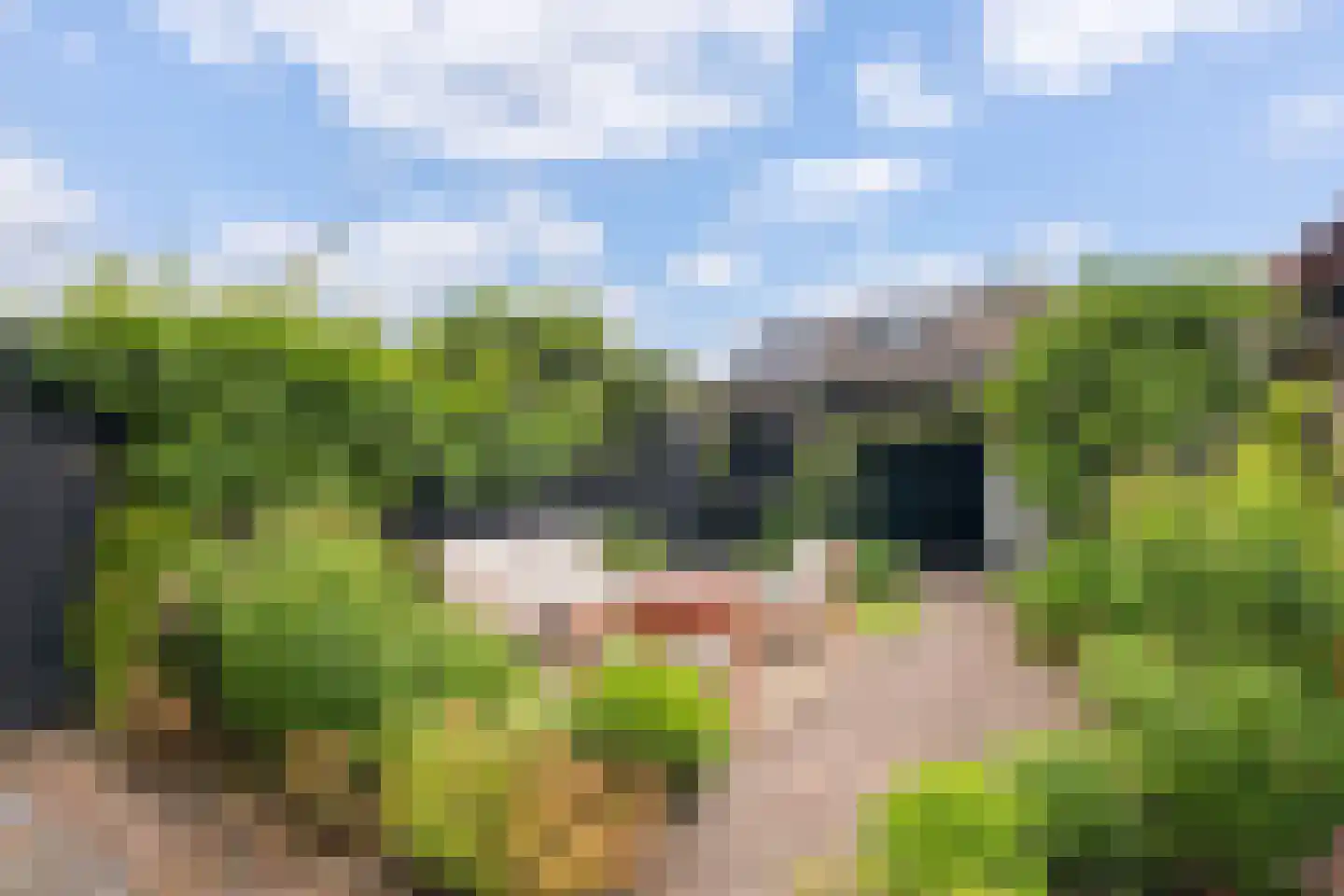 Koperwiek 4 Ermelo thumbnail 40