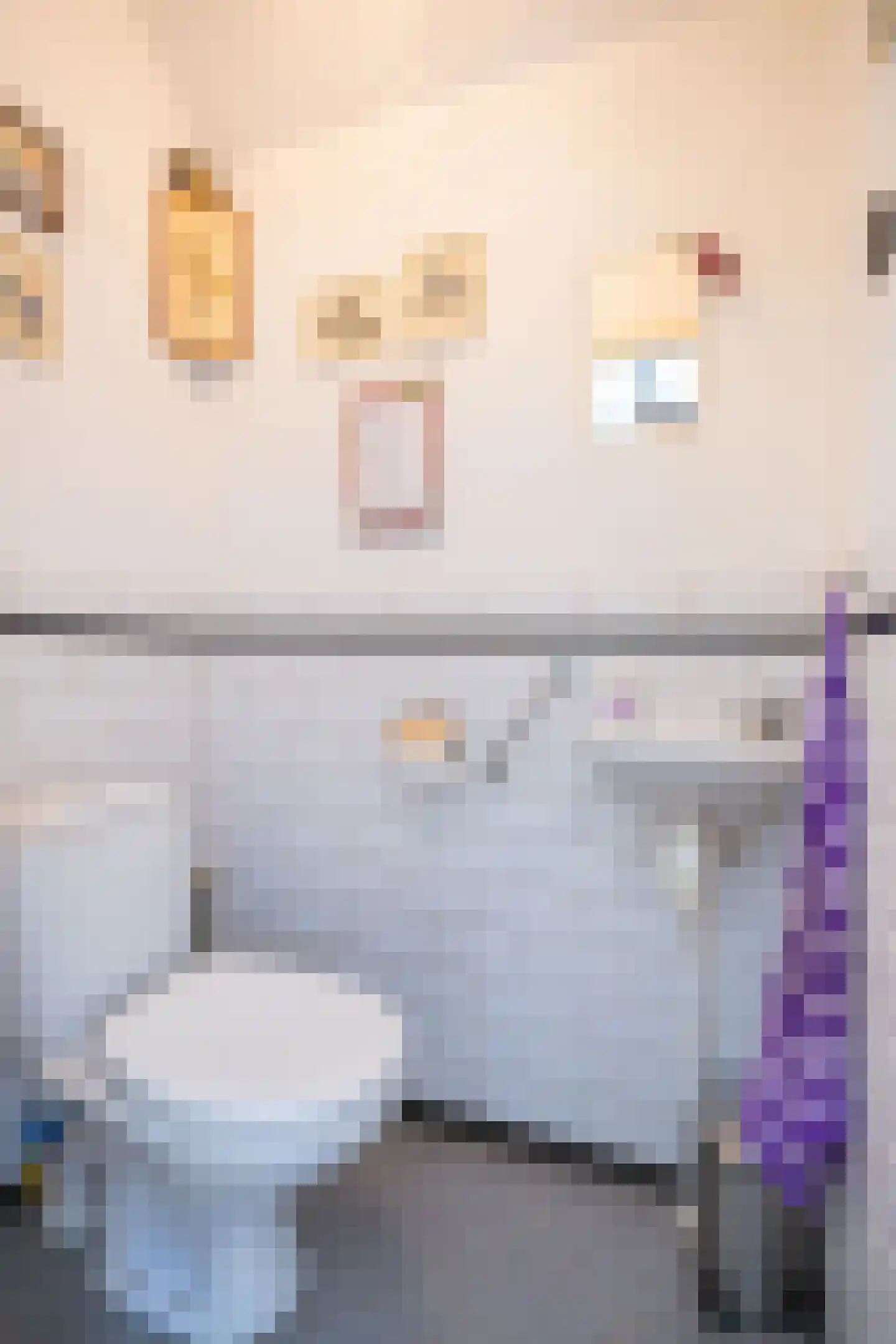 Koperwiek 4 Venhuizen thumbnail 12