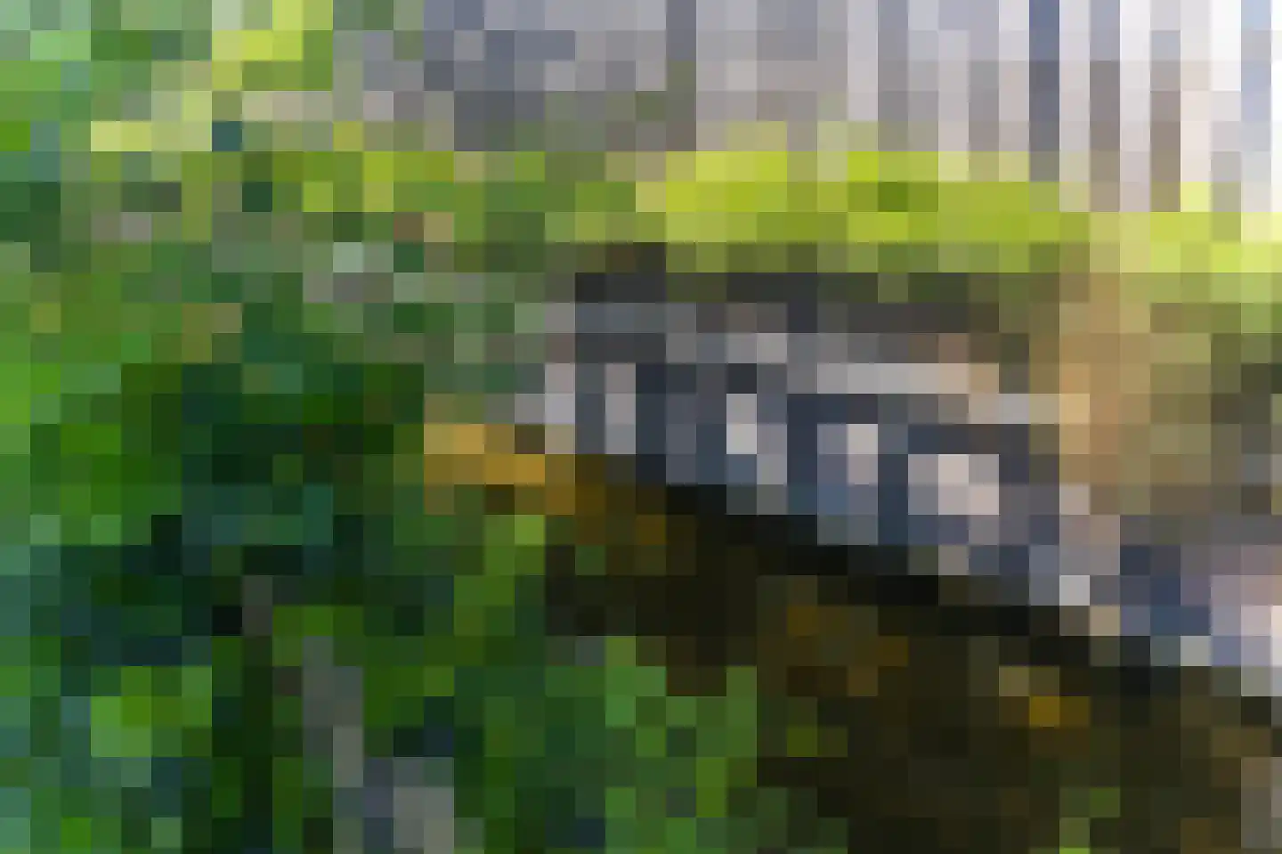 Koperwiek 4 Venhuizen thumbnail 22